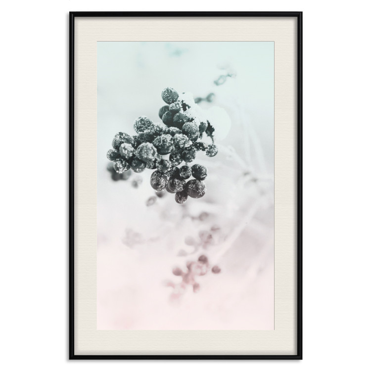 Wall Poster Frozen Twig - plant with dark berries on pastel background 124947 additionalImage 18