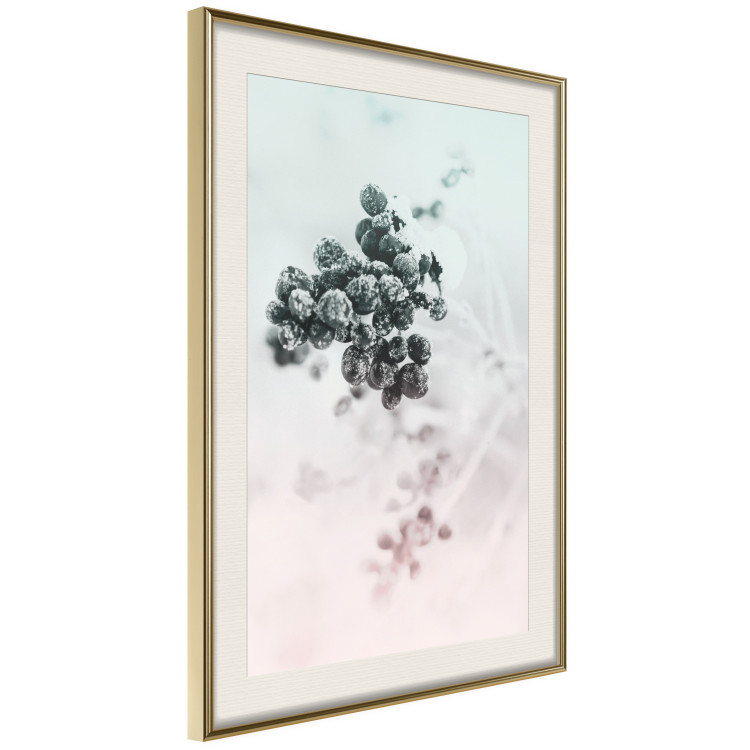 Wall Poster Frozen Twig - plant with dark berries on pastel background 124947 additionalImage 2