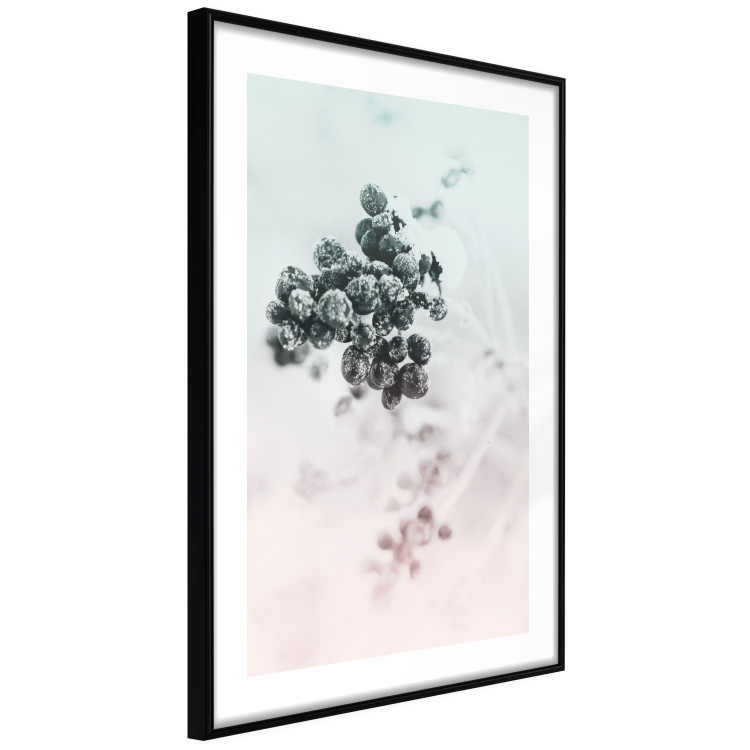 Wall Poster Frozen Twig - plant with dark berries on pastel background 124947 additionalImage 13