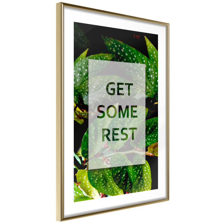 Wall Poster Get Some Rest - English inscriptions in a white frame on a botanical background 127147 additionalImage 7