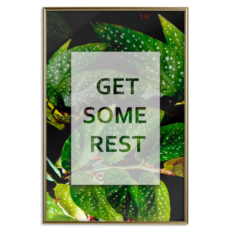 Wall Poster Get Some Rest - English inscriptions in a white frame on a botanical background 127147 additionalImage 17