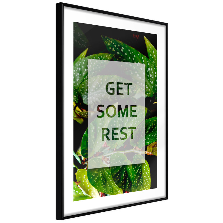 Wall Poster Get Some Rest - English inscriptions in a white frame on a botanical background 127147 additionalImage 6