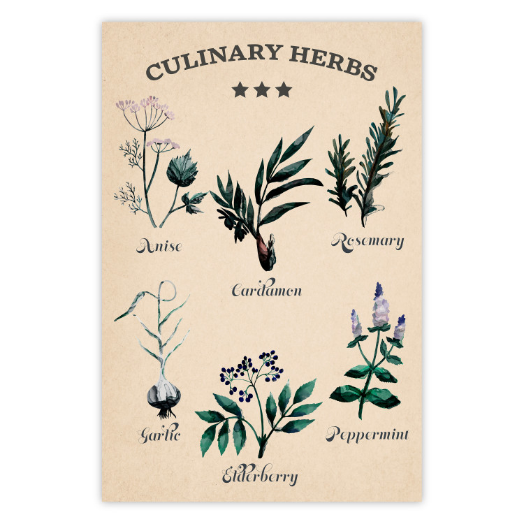 Wall Poster Kitchen Herbs - composition of edible plants with black labels 129547