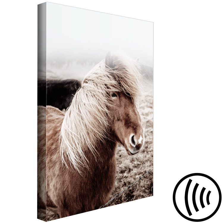 Canvas Art Print Against the Wind (1-piece) Vertical - horse in a portrait photograph 130247 additionalImage 6