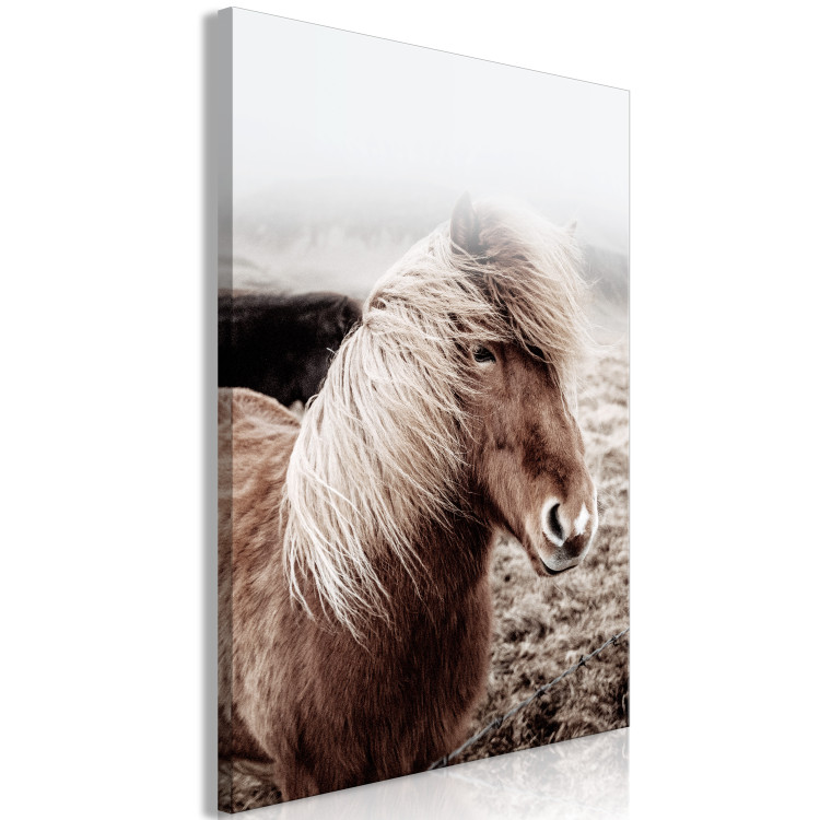 Canvas Art Print Against the Wind (1-piece) Vertical - horse in a portrait photograph 130247 additionalImage 2