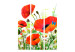 Room Divider Screen Country poppies (3-piece) - red poppies on a colorful meadow 132647 additionalThumb 3