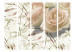Room Separator Birthday Wishes II (5-piece) - watercolor collage in light roses 132847 additionalThumb 3