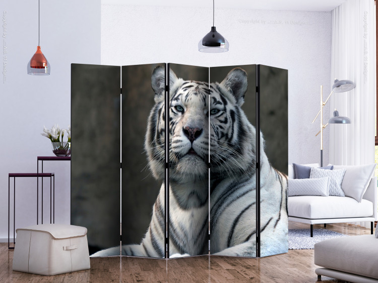 Room Divider Screen Bengal Tiger in the Zoo II (5-piece) - composition with a wild cat 133347 additionalImage 2