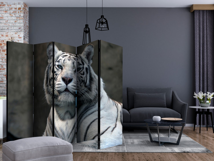 Room Divider Screen Bengal Tiger in the Zoo II (5-piece) - composition with a wild cat 133347 additionalImage 4