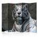 Room Divider Screen Bengal Tiger in the Zoo II (5-piece) - composition with a wild cat 133347