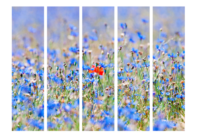 Room Divider Screen Meadow in Sky Blue - Cornflowers II - summer landscape of blue flowers 133947 additionalImage 3