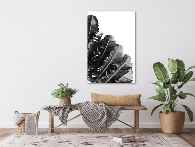 Canvas Print Banana leaves - a line of leaves on a white background 135547 additionalImage 3