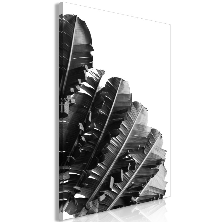 Canvas Print Banana leaves - a line of leaves on a white background 135547 additionalImage 2
