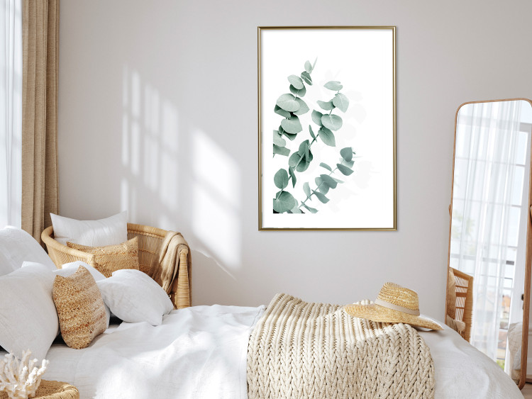 Wall Poster Eucalyptus Leaves - Minimalist Plant Twigs Isolated on White 146147 additionalImage 18