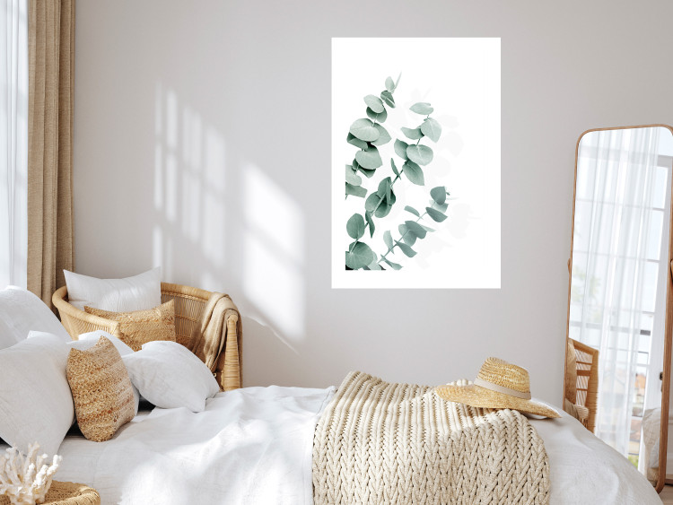 Wall Poster Eucalyptus Leaves - Minimalist Plant Twigs Isolated on White 146147 additionalImage 21