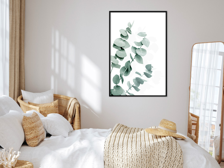 Wall Poster Eucalyptus Leaves - Minimalist Plant Twigs Isolated on White 146147 additionalImage 12