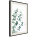 Wall Poster Eucalyptus Leaves - Minimalist Plant Twigs Isolated on White 146147 additionalThumb 6