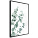 Wall Poster Eucalyptus Leaves - Minimalist Plant Twigs Isolated on White 146147 additionalThumb 7