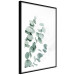 Wall Poster Eucalyptus Leaves - Minimalist Plant Twigs Isolated on White 146147 additionalThumb 5