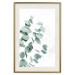 Wall Poster Eucalyptus Leaves - Minimalist Plant Twigs Isolated on White 146147 additionalThumb 26