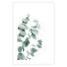 Wall Poster Eucalyptus Leaves - Minimalist Plant Twigs Isolated on White 146147 additionalThumb 16