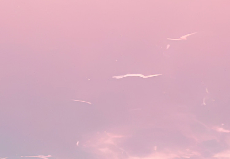 Large canvas print Sky Landscape - Subtle Pink Clouds on the Blue Horizon [Large Format] 151247 additionalImage 5
