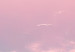 Large canvas print Sky Landscape - Subtle Pink Clouds on the Blue Horizon [Large Format] 151247 additionalThumb 5