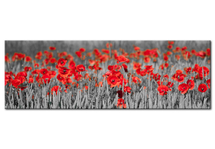 Canvas Print Poppies among fields of wheat 58747