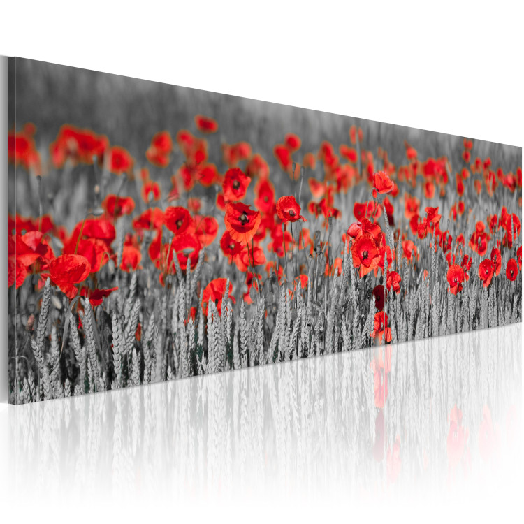 Canvas Print Poppies among fields of wheat 58747 additionalImage 2