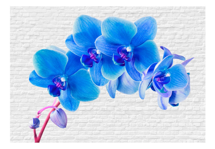 Wall Mural Blue Excitement - Energetic Orchids on a Brick Background in White 60247 additionalImage 1