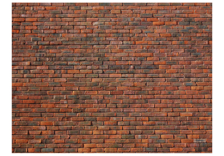 Photo Wallpaper Design: brick 60947 additionalImage 1