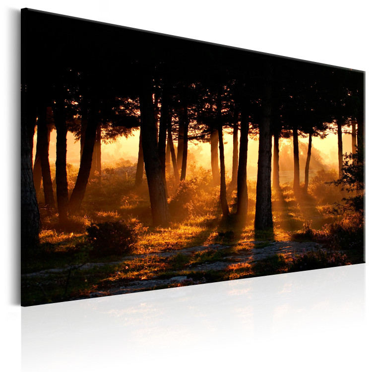 Canvas Print Forest Dawn 93147 additionalImage 2