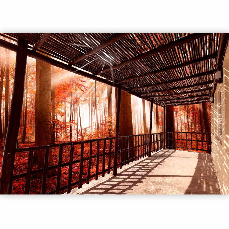 Wall Mural Cottage in the forest - landscape of a terrace in a burgundy forest full of trees and leaves 97547 additionalImage 5