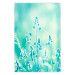 Wall Poster Green Meadow in the Countryside - plant composition in shades of turquoise 114457