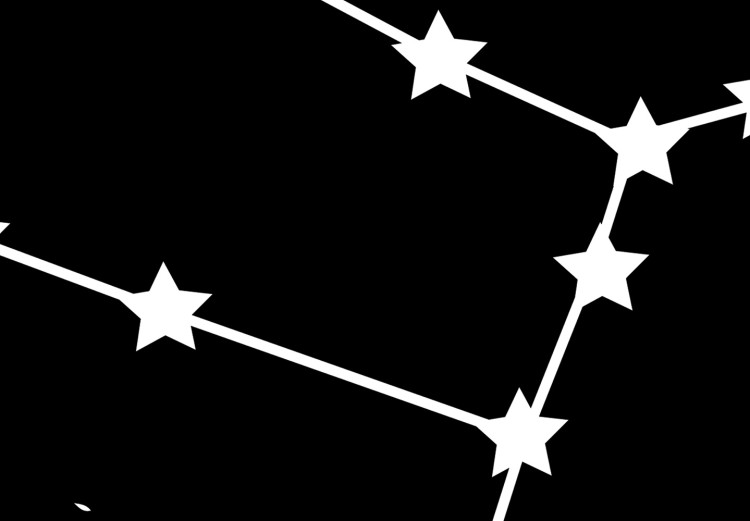 Wall Poster Zodiac signs: Gemini - black and white star constellation on white 114857 additionalImage 9