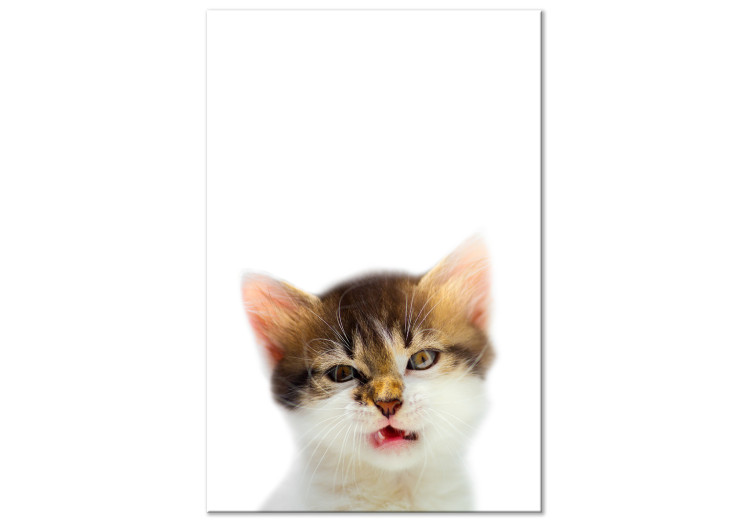 Canvas Art Print Cat Style (1-part) - Domestic Animal with a Touch of Wildness in Focus 114957