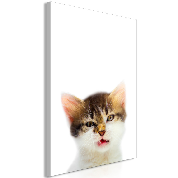 Canvas Art Print Cat Style (1-part) - Domestic Animal with a Touch of Wildness in Focus 114957 additionalImage 2