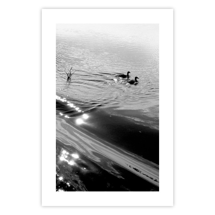 Wall Poster Ducks - black and white landscape with two water birds in the middle of a lake 115057 additionalImage 19
