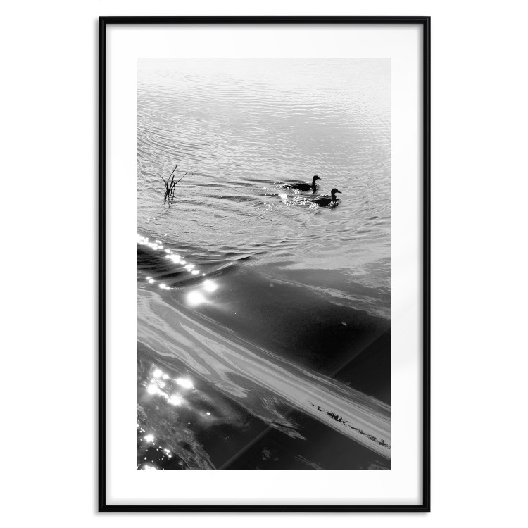 Wall Poster Ducks - black and white landscape with two water birds in the middle of a lake 115057 additionalImage 15