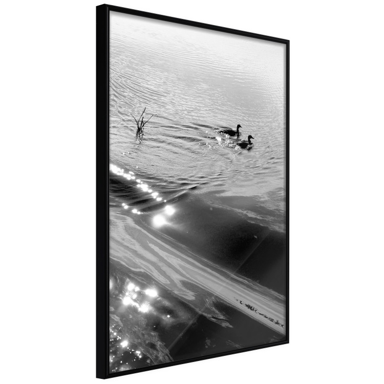 Wall Poster Ducks - black and white landscape with two water birds in the middle of a lake 115057 additionalImage 10