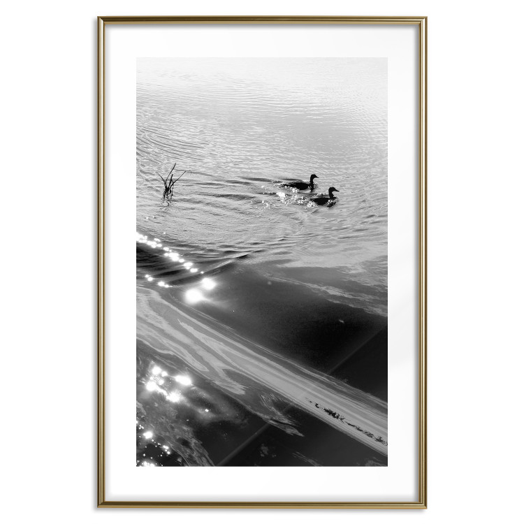 Wall Poster Ducks - black and white landscape with two water birds in the middle of a lake 115057 additionalImage 14