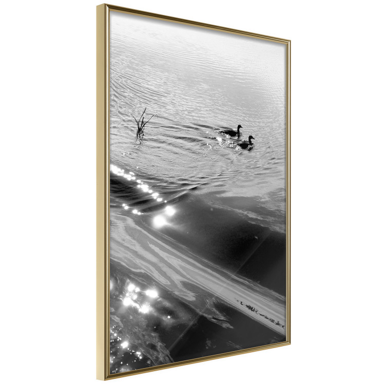 Wall Poster Ducks - black and white landscape with two water birds in the middle of a lake 115057 additionalImage 12