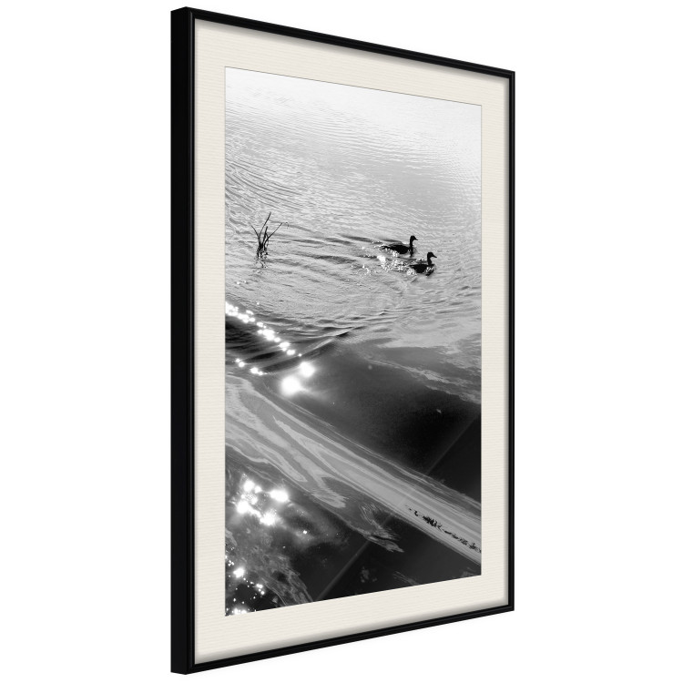 Wall Poster Ducks - black and white landscape with two water birds in the middle of a lake 115057 additionalImage 3