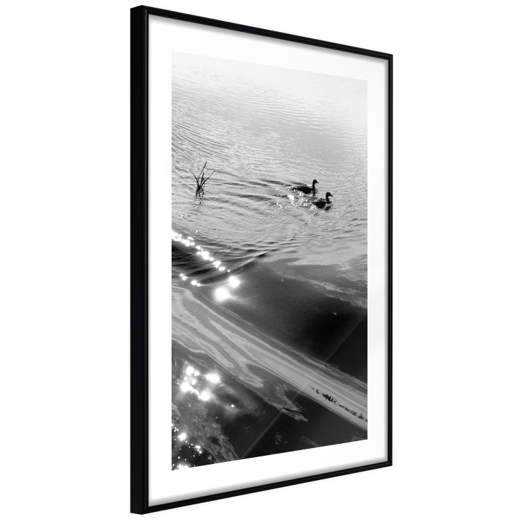 Wall Poster Ducks - black and white landscape with two water birds in the middle of a lake 115057 additionalImage 13