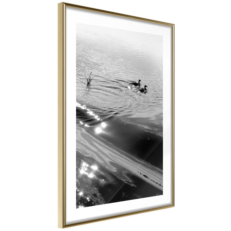 Wall Poster Ducks - black and white landscape with two water birds in the middle of a lake 115057 additionalImage 8