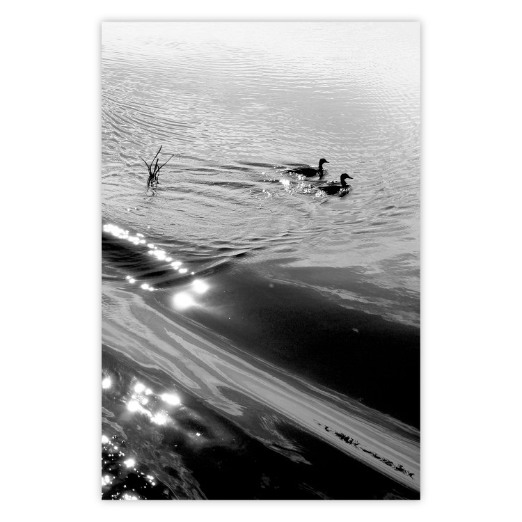 Wall Poster Ducks - black and white landscape with two water birds in the middle of a lake 115057