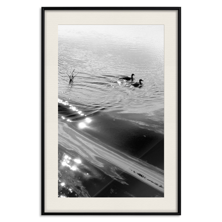 Wall Poster Ducks - black and white landscape with two water birds in the middle of a lake 115057 additionalImage 18