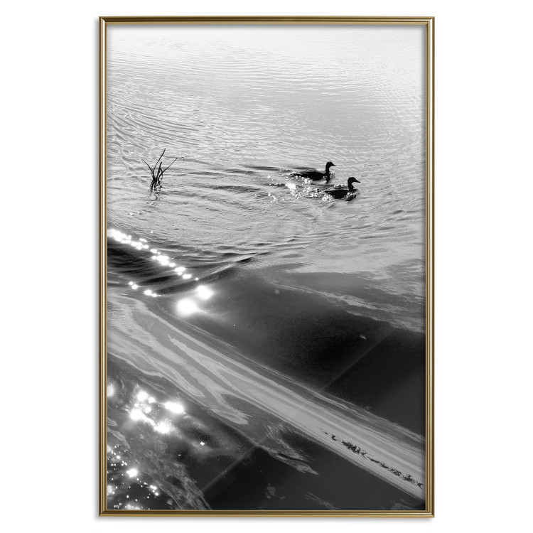 Wall Poster Ducks - black and white landscape with two water birds in the middle of a lake 115057 additionalImage 20