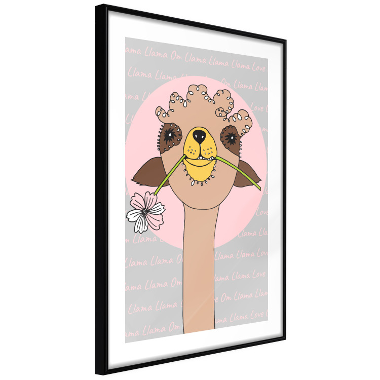 Poster Happy Llama - brown animal with a flower on an artistic colorful background 122757 additionalImage 11