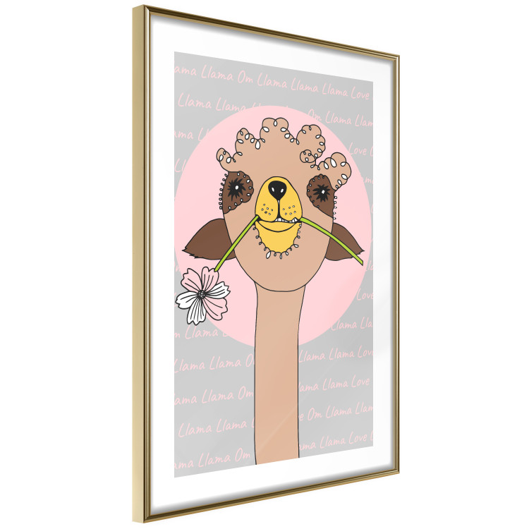 Poster Happy Llama - brown animal with a flower on an artistic colorful background 122757 additionalImage 6